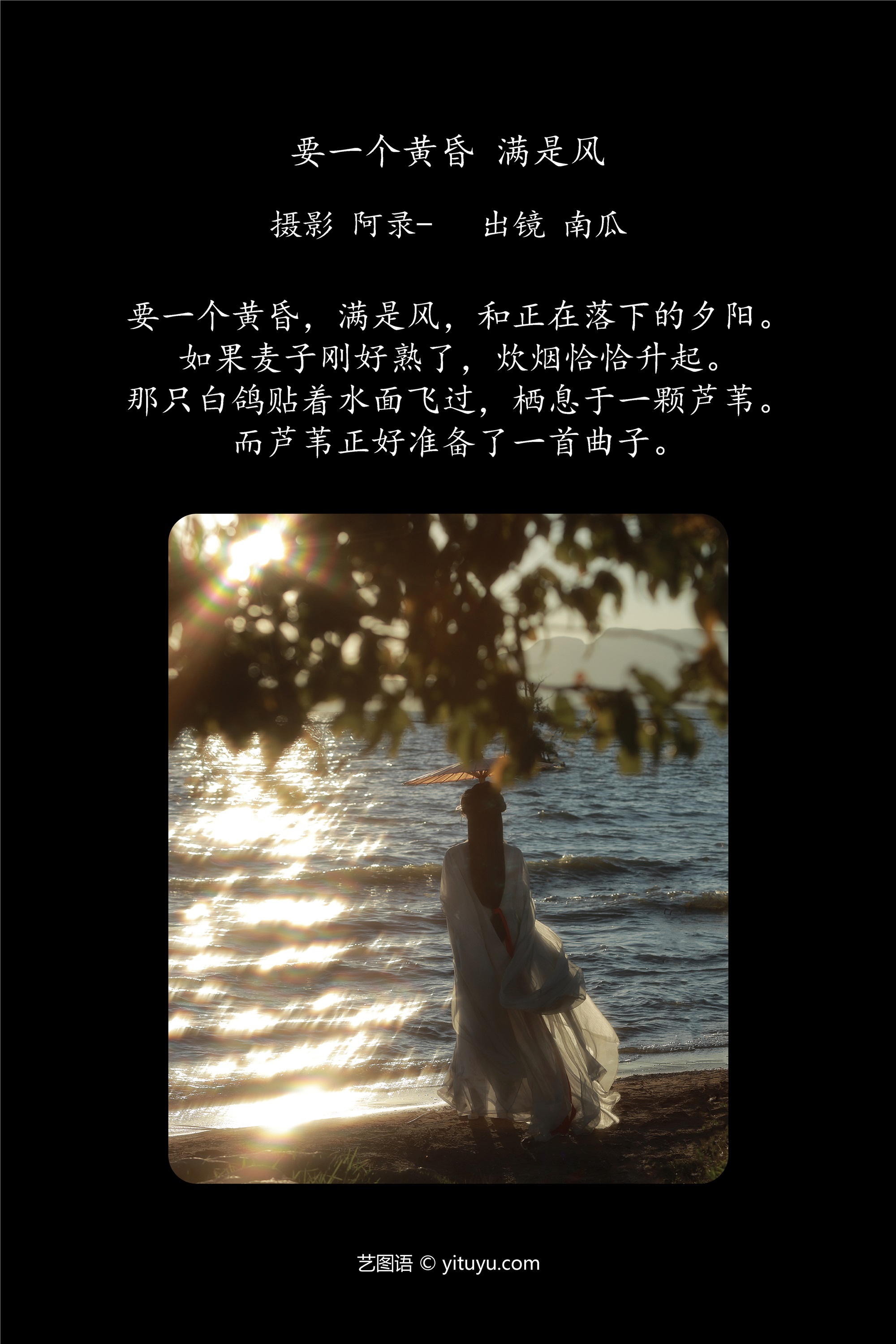 YITUYU艺图语 2025.01.24 要一个黄昏，满是风 南瓜